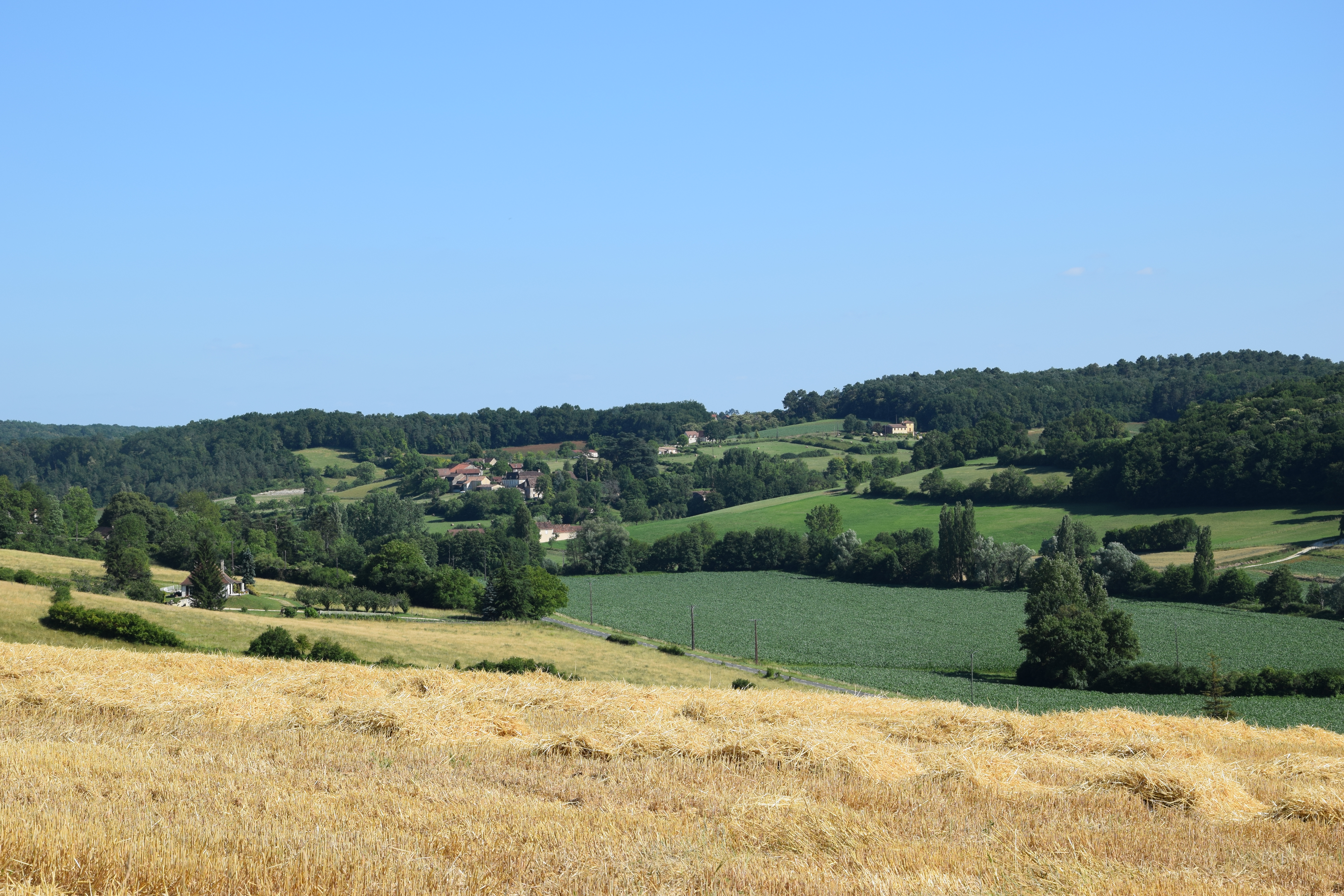 Vente de viande de porc à Bergerac : découvrez notre ferme Vente de viande de porc à Bergerac : découvrez notre ferme